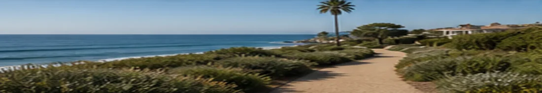 A sandy coastal path lined with wild grasses and a palm, the ocean beyond