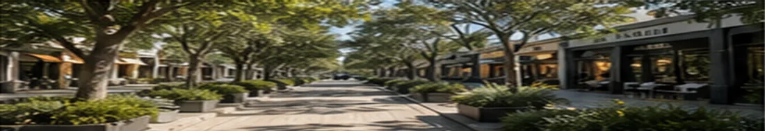 A tree-lined old-town street with cafés and shaded sidewalks